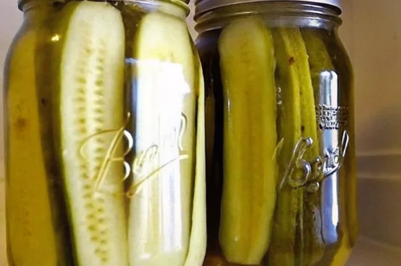 A jar of homemade Claussen pickles with vibrant green cucumbers, fresh dill, garlic cloves, and a tangy brine, showcasing the perfect crunchy texture of the pickles.
