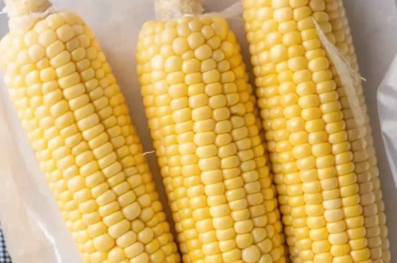 Three ears of sweet corn on the cob, blanched and packed in a labeled freezer bag, ready for freezing.