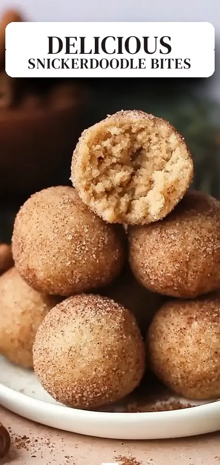 Pinterest pin (Design 2) for Snickerdoodle Protein Bites