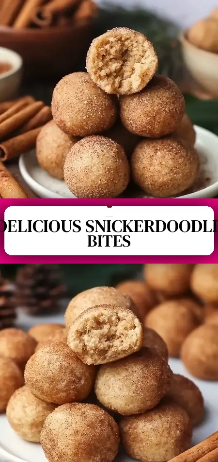 Pinterest pin (Design 3) for Snickerdoodle Protein Bites