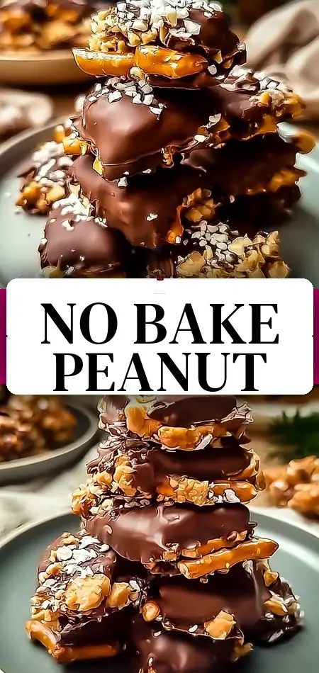 Pinterest pin (Design 3) for Easy No-Bake Peanut Butter Pretzel Clusters Recipe You’ll Love