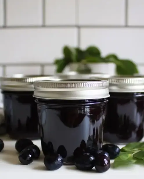 A delicious plate of Blueberry Jam (without Added Pectin)