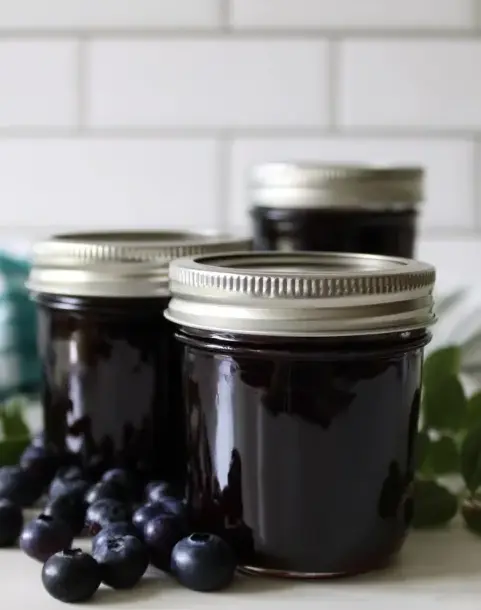 A delicious plate of Blueberry Jam (without Added Pectin)