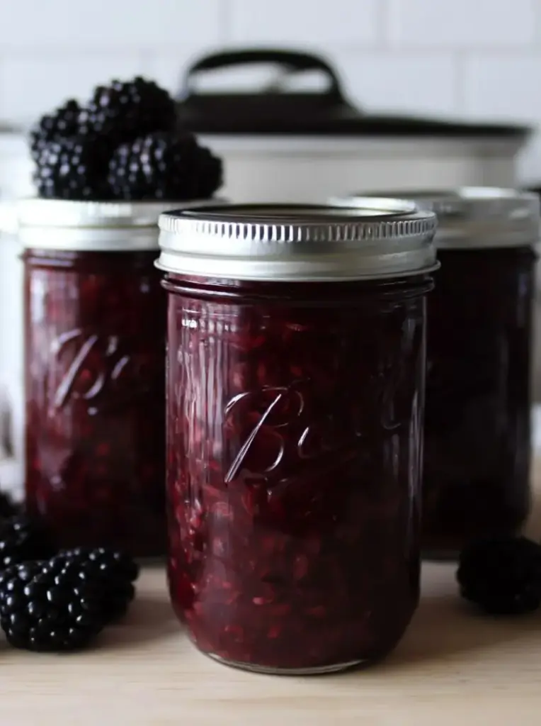 A delicious plate of Canning Blackberry Pie Filling