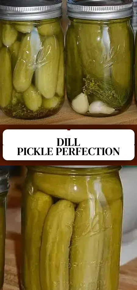 Pinterest pin (Design 3) for Grandma's Dill Pickle Recipe
