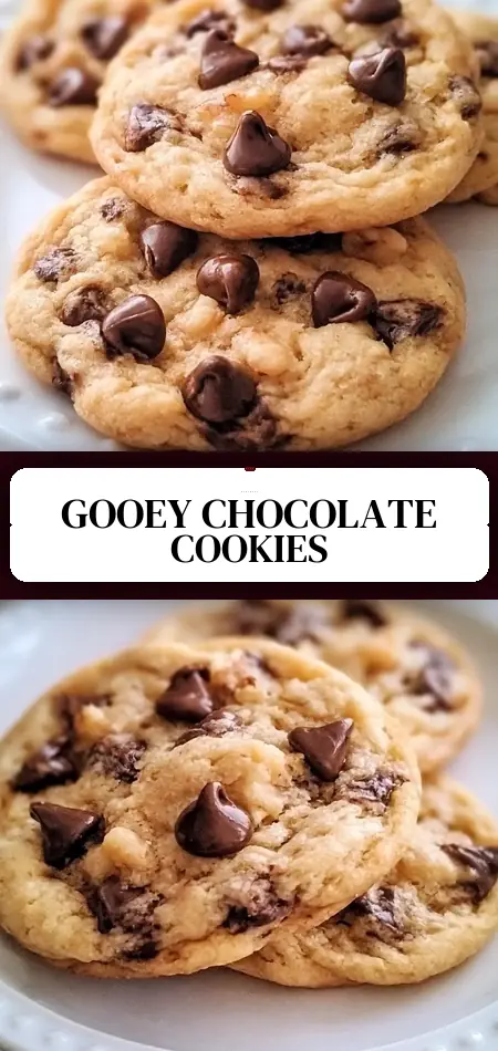 Air Fryer Gooey Chocolate Chip Cookies