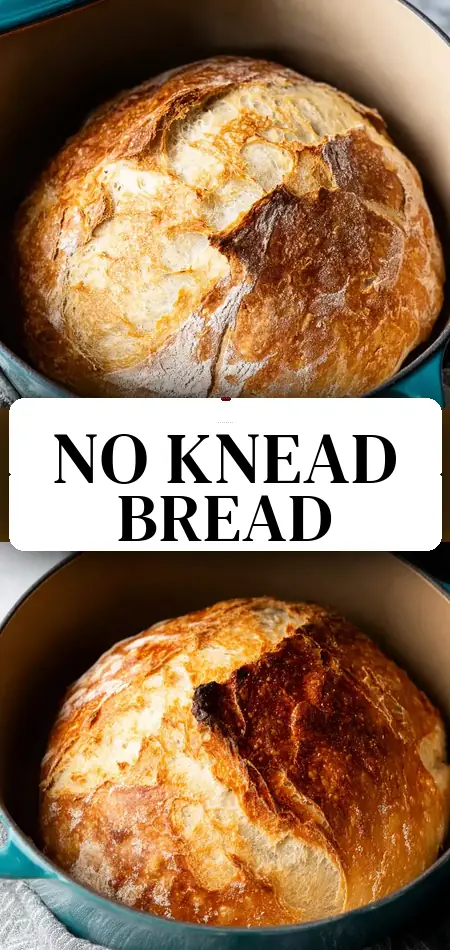 Easy No Knead Bread (Dutch Oven Bread)